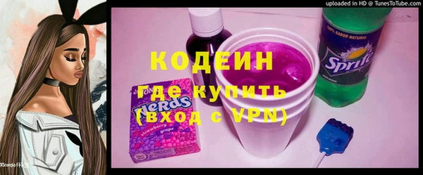 индика Лабытнанги