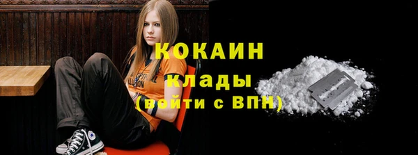 индика Лабытнанги