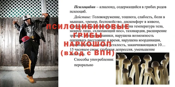 индика Лабытнанги