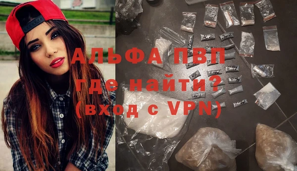 индика Лабытнанги