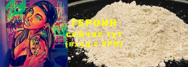 индика Лабытнанги
