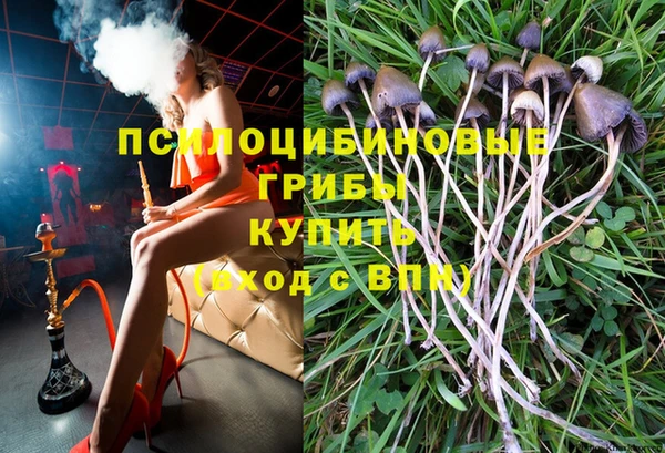индика Лабытнанги