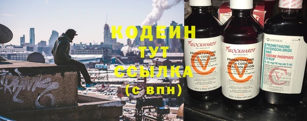 индика Лабытнанги