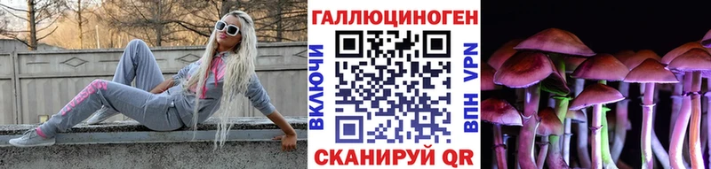 Псилоцибиновые грибы Psilocybine cubensis Ликино-Дулёво